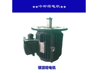 橫流塔專用電機(jī)